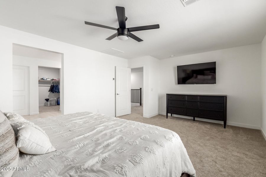 15 - Seldon 15 - Seldon