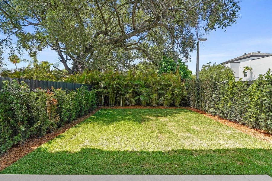 Natural landscape and outdoor views near  in Miami (Image 53).