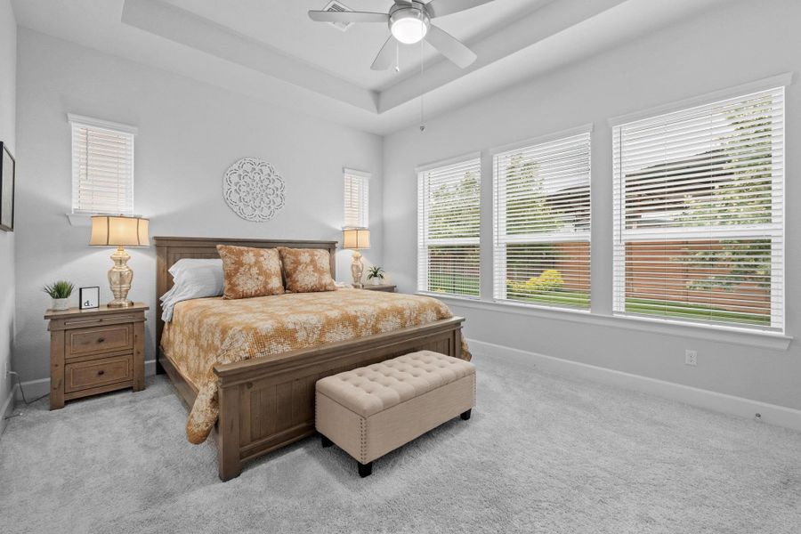 Carpeted bedroom with a ceiling fan, baseboards, and a raised ceiling Carpeted bedroom with a ceiling fan, baseboards, and a raised ceiling