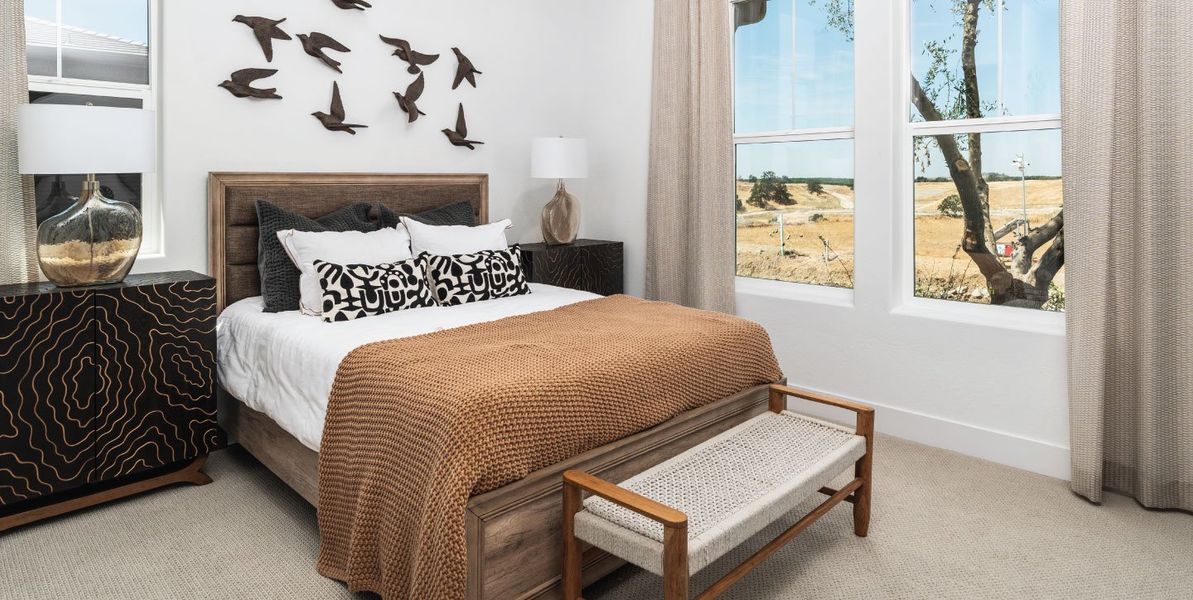 1440x724 Hilltop-Sunflower-Bed3