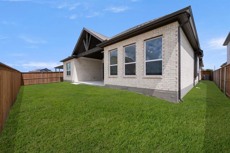 460 Shadowfax- Back-2