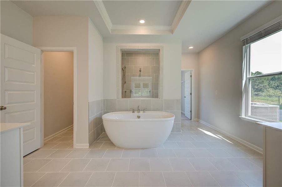 Furnished interior view inside a new home in Grandview at Millers Mill, Stockbridge (Image 9).