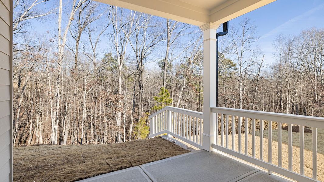 Representative exterior details of a home built from the Cali by D.R. Horton in Falcon Landing, Gainesville (Image 3).