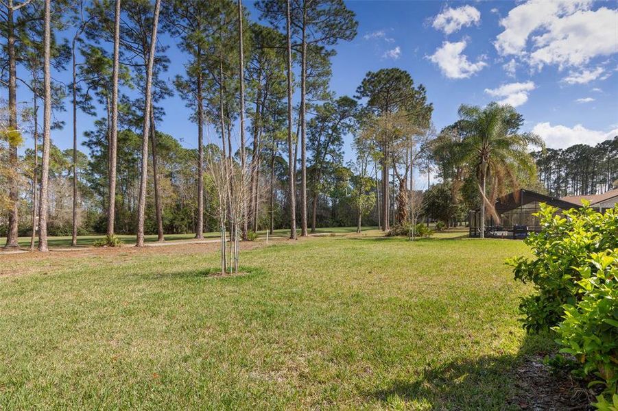 Natural landscape and outdoor views near  in Palm Coast (Image 55).