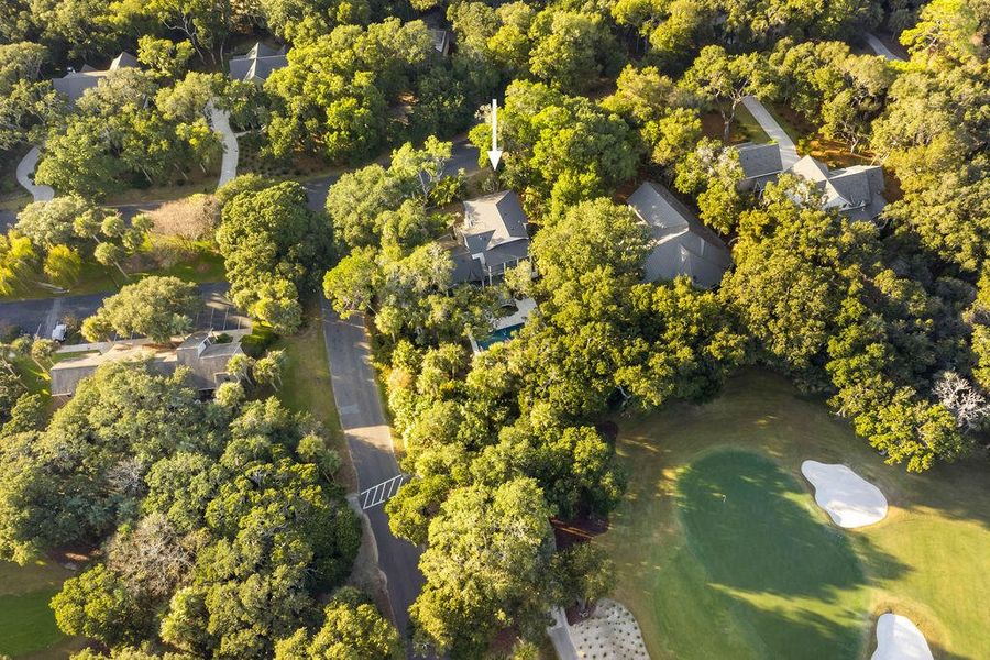 Natural landscape and outdoor views near  in Seabrook Island (Image 91).