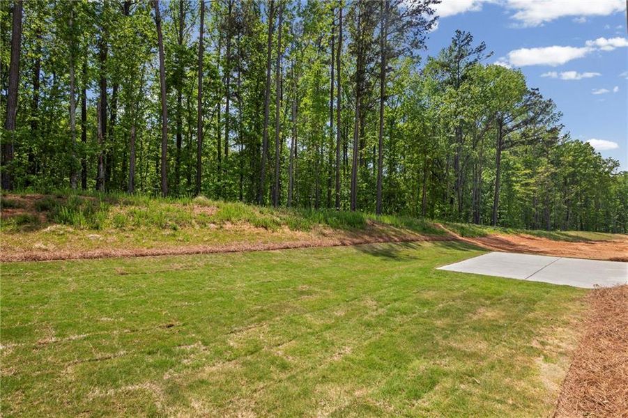Natural landscape and outdoor views near Sage Woods in Dallas (Image 37).