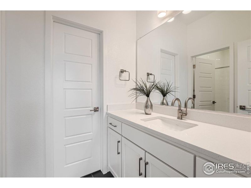 Lower level bathroom off the 4th bedroom suite.