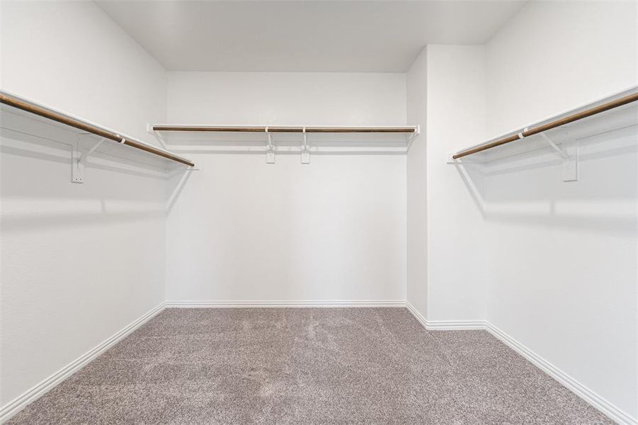 Spacious closet with carpet