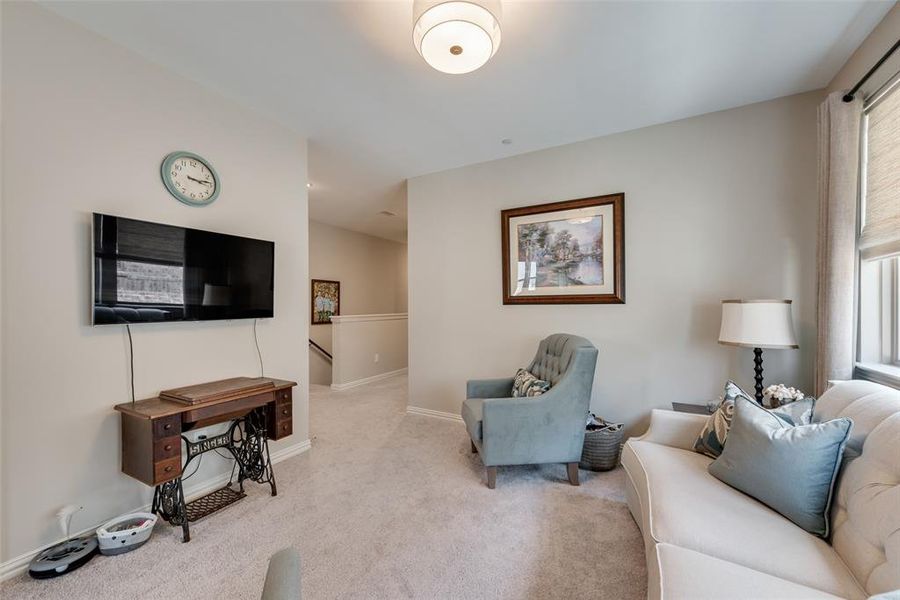 Carpeted living area featuring light-toned walls, a flush-mount ceiling light, a window with Levolor bottom up-top down shades Carpeted living area featuring light-toned walls, a flush-mount ceiling light, a window with Levolor bottom up-top down shades