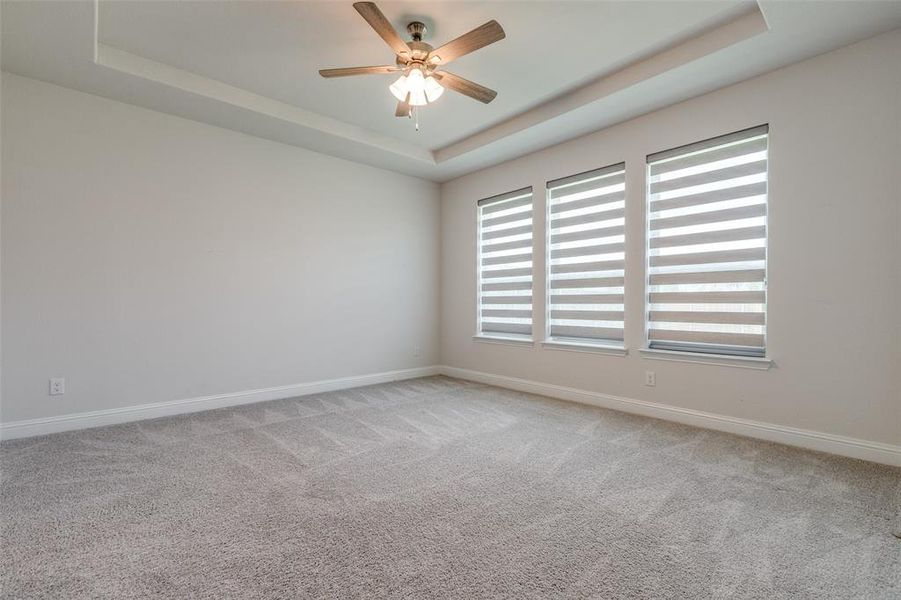 Empty room featuring a tray ceiling, plenty of natural light, and baseboards