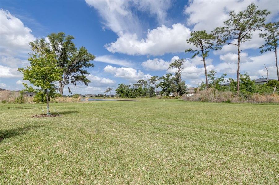 Natural landscape and outdoor views near  in Wesley Chapel (Image 46).