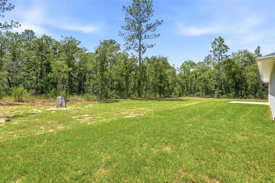 Natural landscape and outdoor views near in Weeki Wachee (Image 45). Natural landscape and outdoor views near in Weeki Wachee (Image 45).