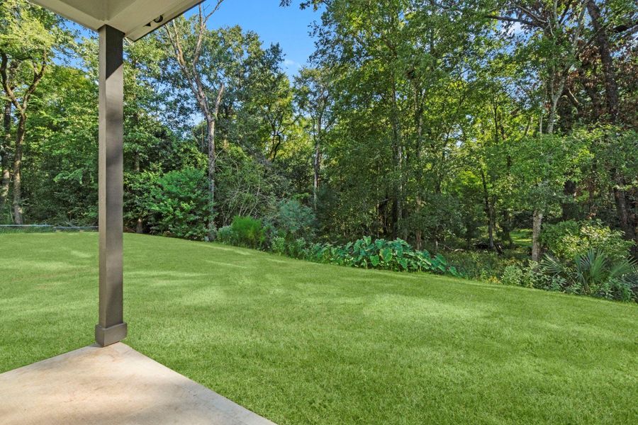 Grass enhanced by photographers.