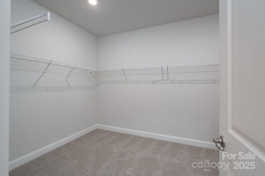 Representative Photo