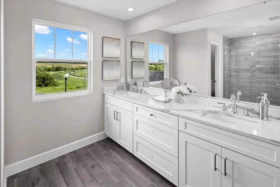 Owner's Bath