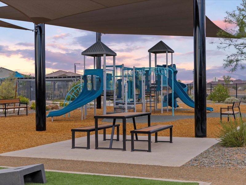 Community amenities in Paloma Creek - Estate Series, Surprise (Image 13).