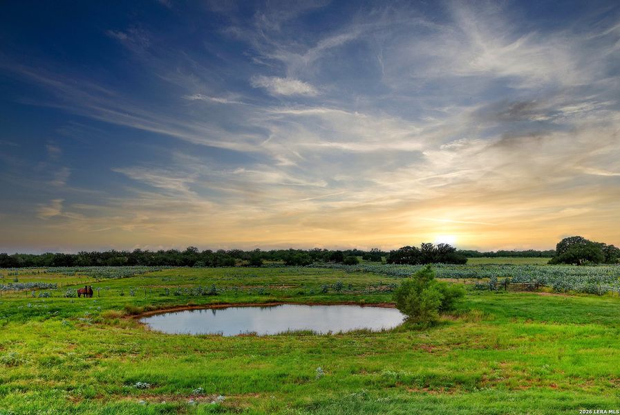 Natural landscape and outdoor views near  in Floresville (Image 30).