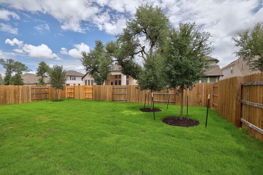 Backyard Backyard
