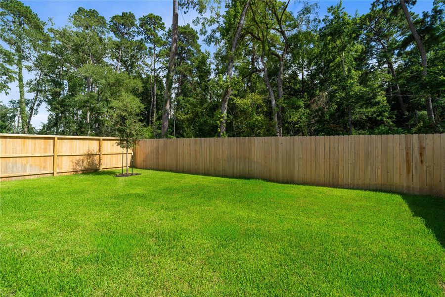 The property backs up to a gorgeous green space with tall pines! The property backs up to a gorgeous green space with tall pines!