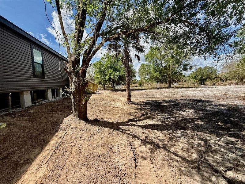 Natural landscape and outdoor views near  in Okeechobee (Image 47).