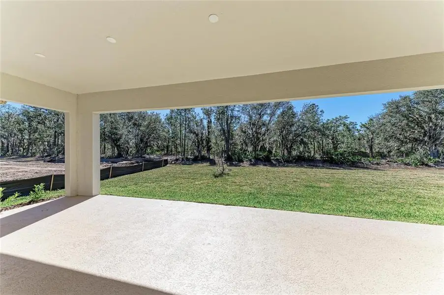 Exterior details and patio area of a home in Hawkstone, Lithia (Image 3).