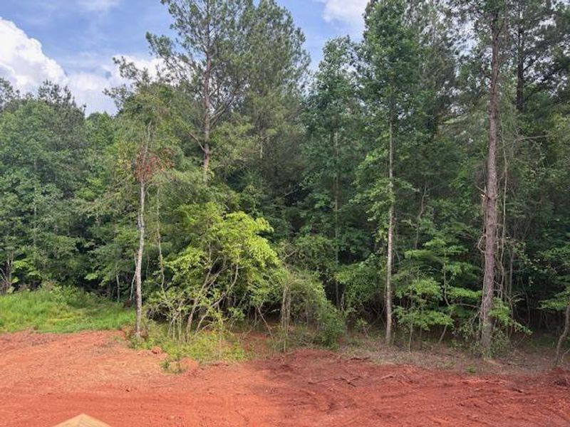 Exterior details and patio area of a home in Eagle Heights, Maysville (Image 3). Exterior details and patio area of a home in Eagle Heights, Maysville (Image 3).