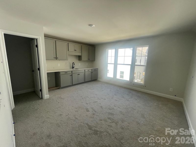 Garage Bonus wet bar