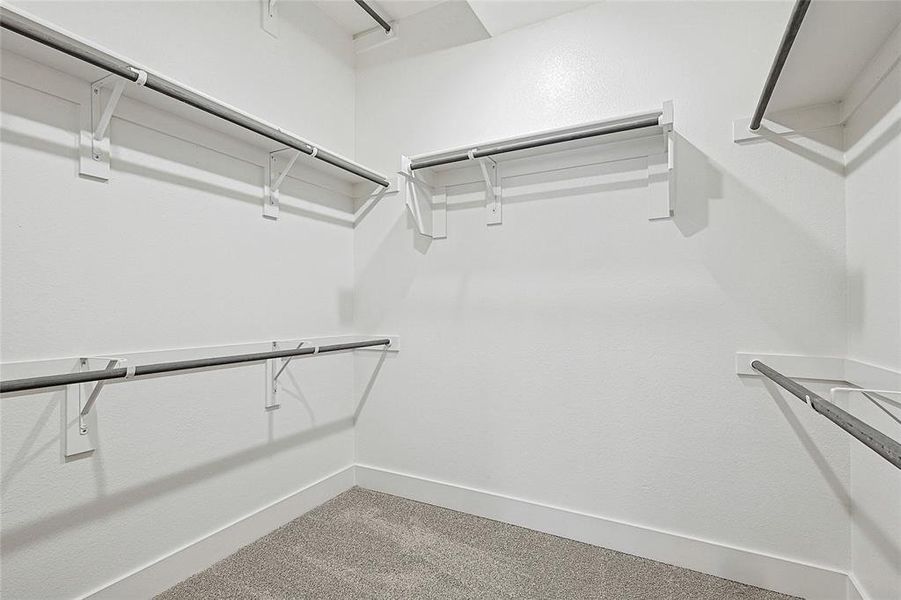Spacious closet featuring carpet