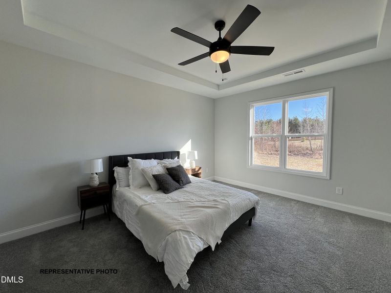 Representative Photo