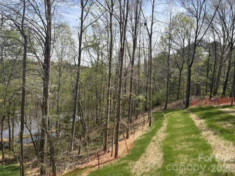 back yard and pond view during construction