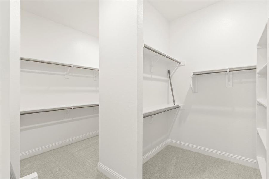 18. 2612 Cone Flower - Closet