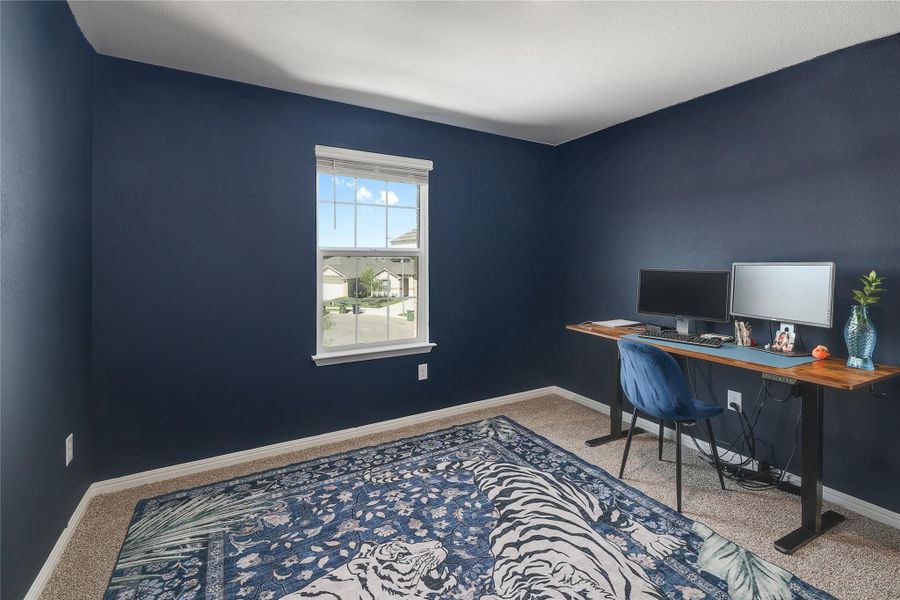 Carpeted room with dark blue walls Carpeted room with dark blue walls