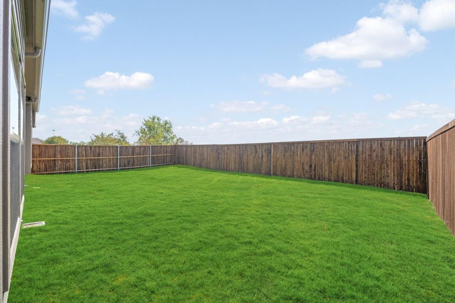 Spacious backyard with green grass lawn and tall wooden privacy fence on three sides