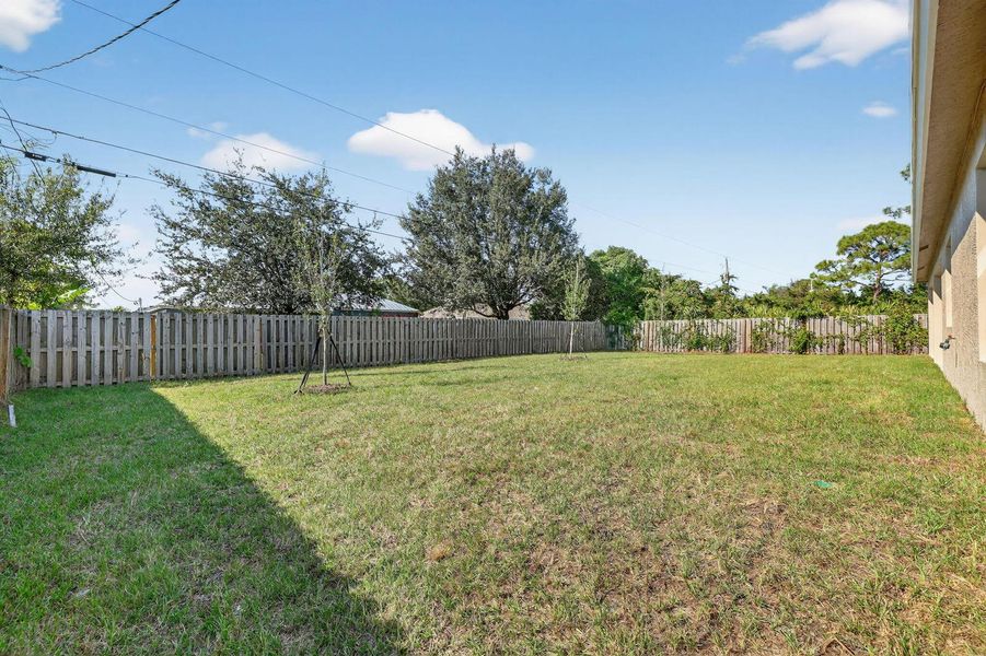 6-web-or-mls-3A5A1105 6-web-or-mls-3A5A1105