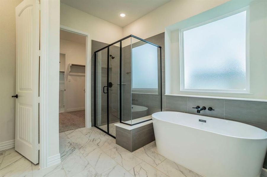 13-web-or-mls-430 harvest time 11 13-web-or-mls-430 harvest time 11