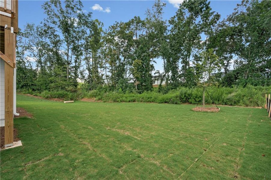 Natural landscape and outdoor views near Reunion in Flowery Branch (Image 19). Natural landscape and outdoor views near Reunion in Flowery Branch (Image 19).