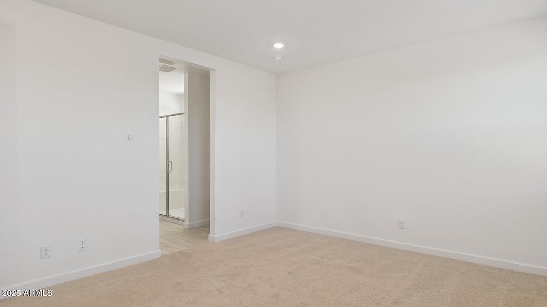 3985_Phoenician_Lot 2078_Aloravita_Peori