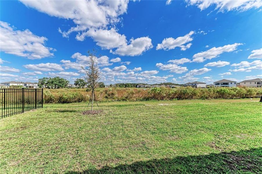 Natural landscape and outdoor views near Hawkstone in Lithia (Image 34).