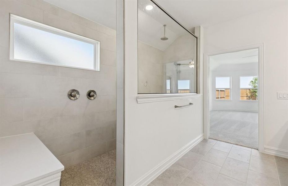 Modern owner's bath with spacious shower Modern owner's bath with spacious shower
