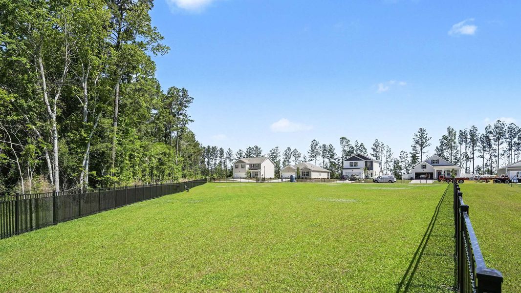 Natural landscape and outdoor views near Preserve at Cypress Commons in Conway (Image 15).
