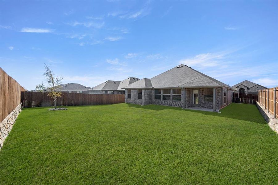 10305 Tapioca- Back-1 10305 Tapioca- Back-1