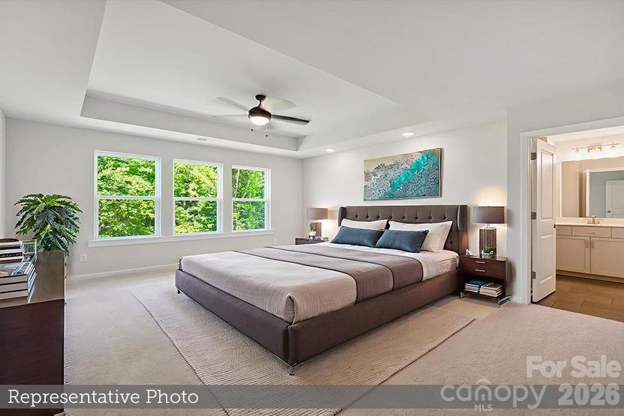 Representative Image Representative Image