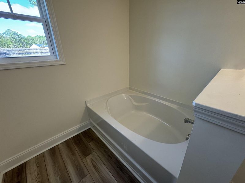 Furnished interior view inside a new home in Boykin Hills, Chapin (Image 9). Furnished interior view inside a new home in Boykin Hills, Chapin (Image 9).