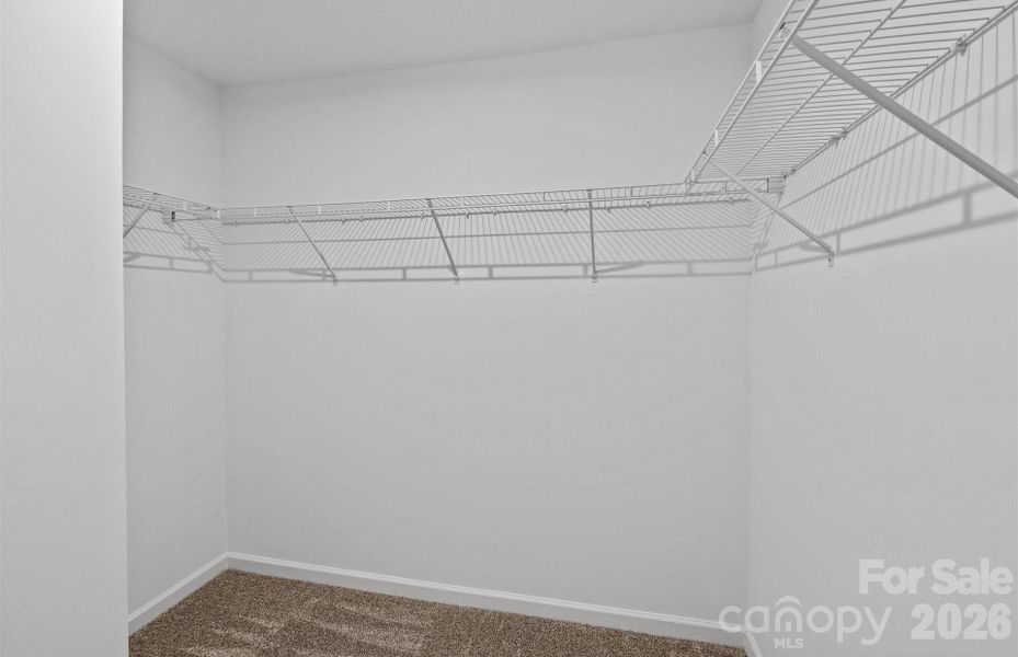 REPRESENTATION PHOTO