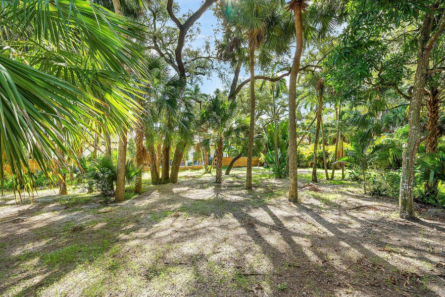 Natural landscape and outdoor views near in Boca Raton (Image 62). Natural landscape and outdoor views near in Boca Raton (Image 62).