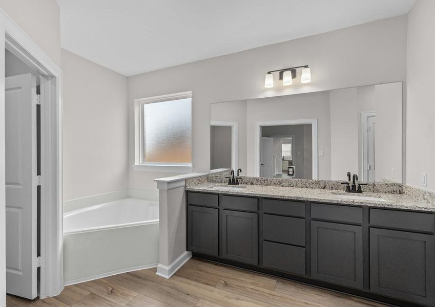 The master bathroom has a dual sink vanity and a soaking tub.