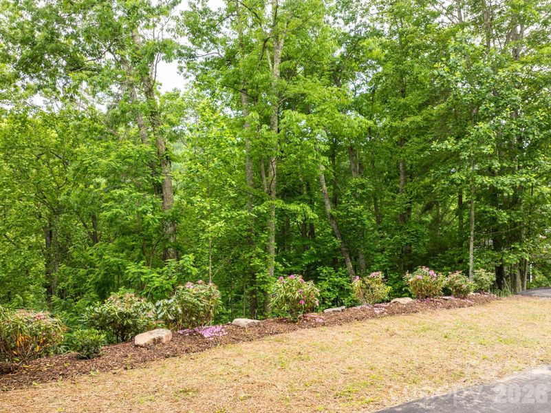 Natural landscape and outdoor views near in Boone (Image 34). Natural landscape and outdoor views near in Boone (Image 34).