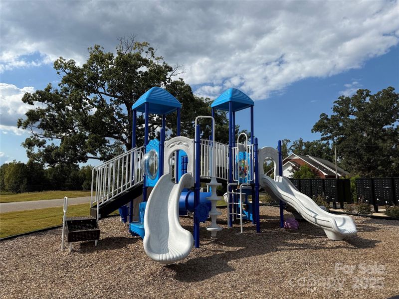 The Blue Sky Meadows playground for the young residents!