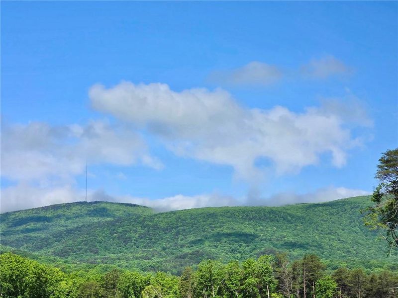 Natural landscape and outdoor views near  in Waleska (Image 24).