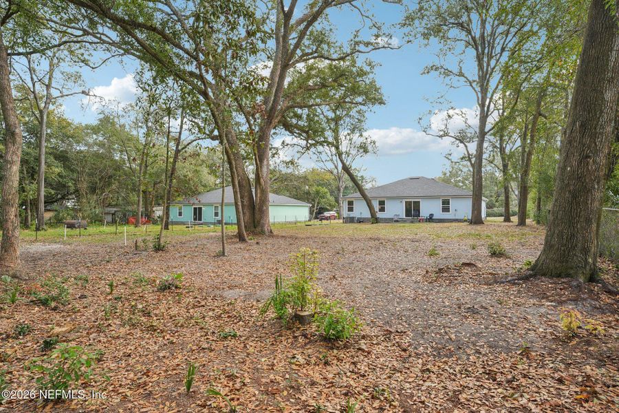 Natural landscape and outdoor views near  in Jacksonville (Image 22).